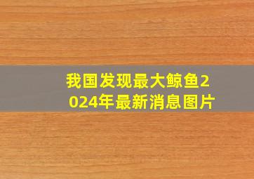 我国发现最大鲸鱼2024年最新消息图片