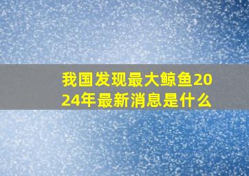 我国发现最大鲸鱼2024年最新消息是什么