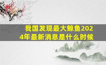 我国发现最大鲸鱼2024年最新消息是什么时候