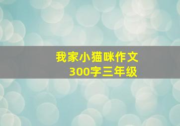 我家小猫咪作文300字三年级