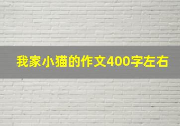 我家小猫的作文400字左右