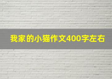 我家的小猫作文400字左右