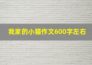 我家的小猫作文600字左右