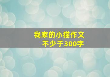 我家的小猫作文不少于300字