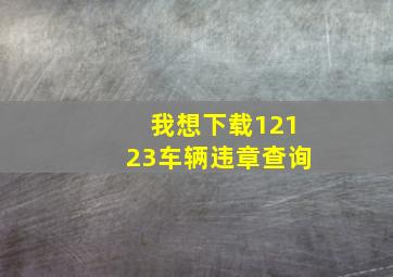 我想下载12123车辆违章查询