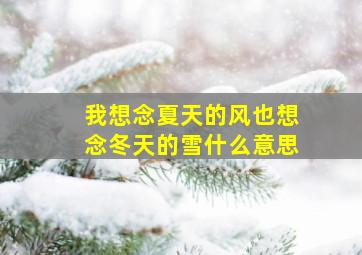 我想念夏天的风也想念冬天的雪什么意思