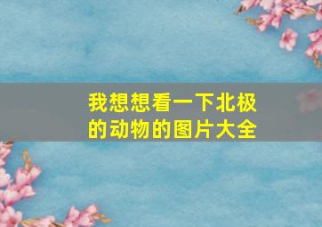 我想想看一下北极的动物的图片大全