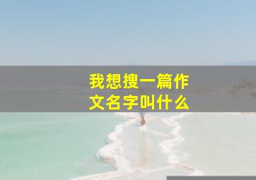 我想搜一篇作文名字叫什么