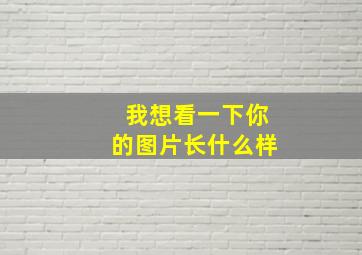 我想看一下你的图片长什么样