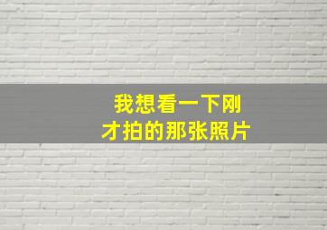 我想看一下刚才拍的那张照片