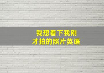 我想看下我刚才拍的照片英语