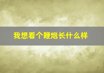 我想看个鞭炮长什么样