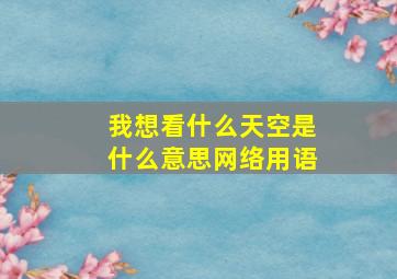 我想看什么天空是什么意思网络用语