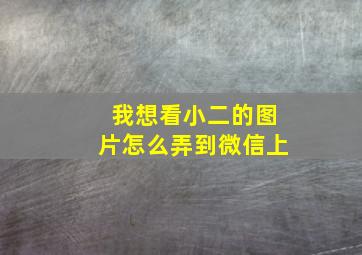 我想看小二的图片怎么弄到微信上