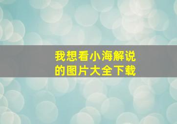 我想看小海解说的图片大全下载