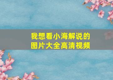 我想看小海解说的图片大全高清视频