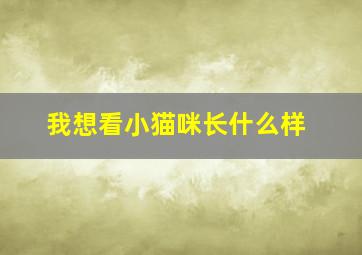 我想看小猫咪长什么样