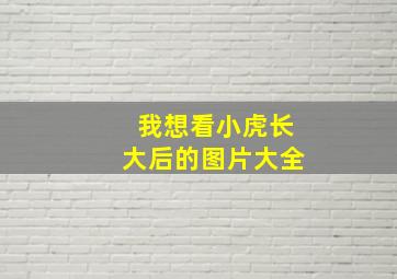 我想看小虎长大后的图片大全