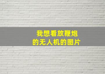 我想看放鞭炮的无人机的图片