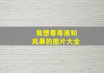 我想看毒液和风暴的图片大全