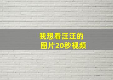 我想看汪汪的图片20秒视频