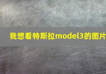 我想看特斯拉model3的图片