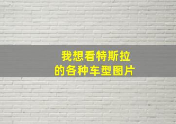 我想看特斯拉的各种车型图片