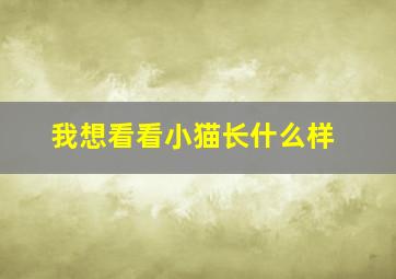 我想看看小猫长什么样