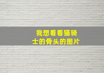 我想看看猫骑士的骨头的图片