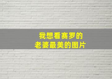 我想看赛罗的老婆最美的图片