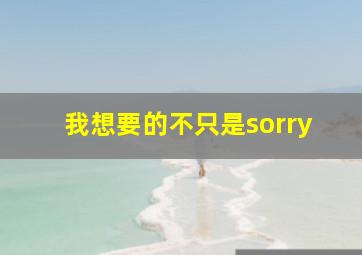 我想要的不只是sorry