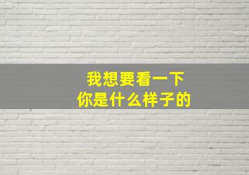 我想要看一下你是什么样子的