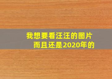 我想要看汪汪的图片而且还是2020年的