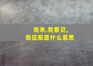 我来,我看见,我征服是什么意思