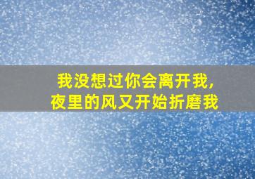 我没想过你会离开我,夜里的风又开始折磨我