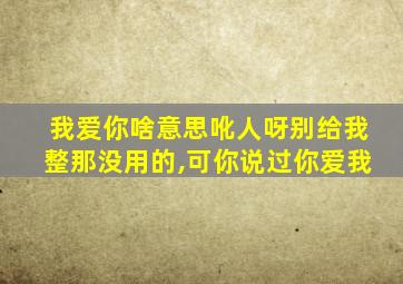 我爱你啥意思吪人呀别给我整那没用的,可你说过你爱我