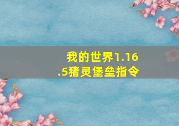 我的世界1.16.5猪灵堡垒指令