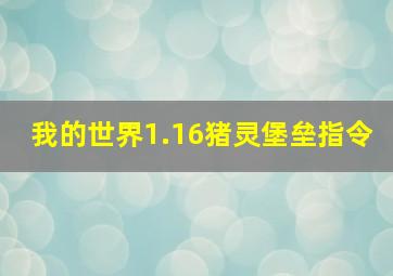 我的世界1.16猪灵堡垒指令