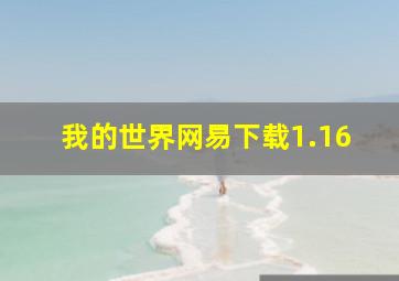 我的世界网易下载1.16