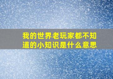 我的世界老玩家都不知道的小知识是什么意思