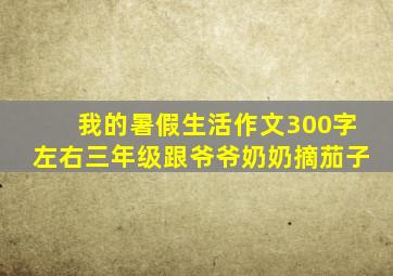 我的暑假生活作文300字左右三年级跟爷爷奶奶摘茄子