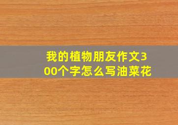 我的植物朋友作文300个字怎么写油菜花