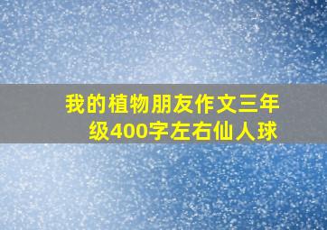 我的植物朋友作文三年级400字左右仙人球