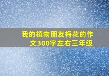 我的植物朋友梅花的作文300字左右三年级