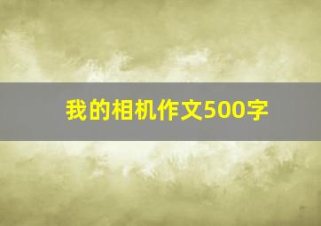 我的相机作文500字