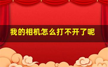 我的相机怎么打不开了呢