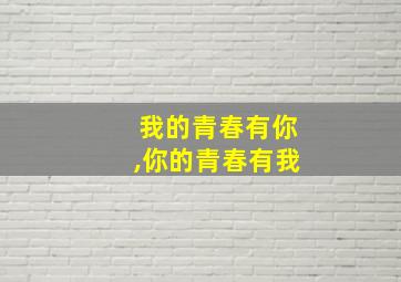 我的青春有你,你的青春有我