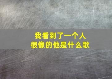 我看到了一个人很像的他是什么歌