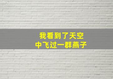 我看到了天空中飞过一群燕子