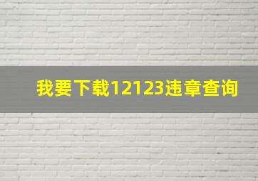 我要下载12123违章查询